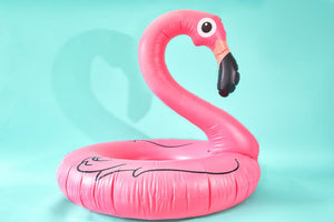 Pool Floaties